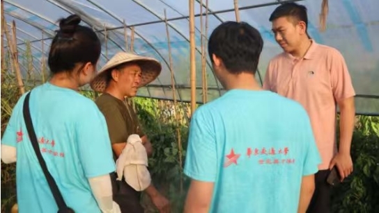 世界杯官网“火车头”实践队的大棚“问诊记”