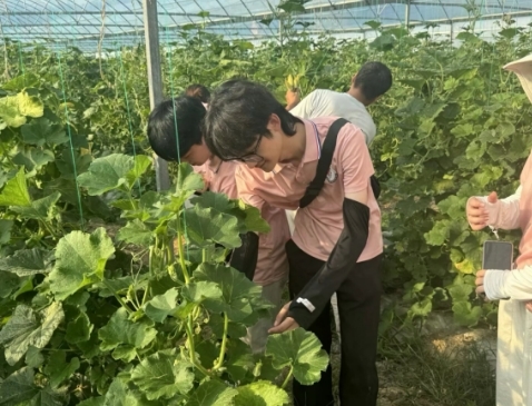 从红色沃土到振兴田野 世界杯官网学子开展暑期社会实践